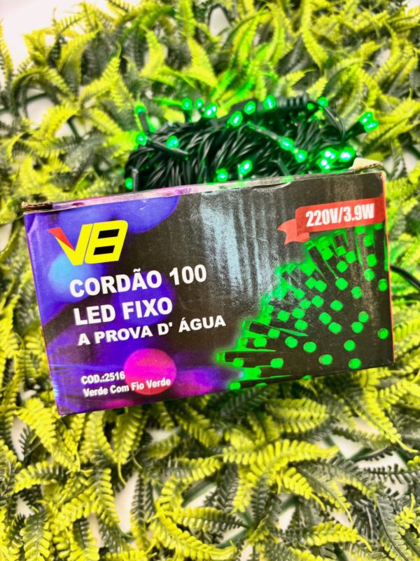 CORDÃO 100LED FIXO A PROVA D´ÁGUA